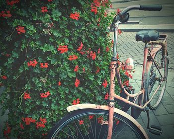 Close-up of bicycle parked