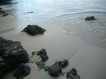 High angle view of rocks in sea