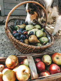 High angle view of vegetables in basket