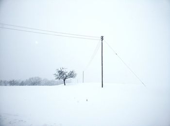 View of trees on landscape