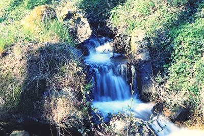 Scenic view of waterfall in forest