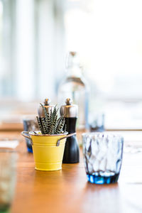 Close-up of potted plant on table