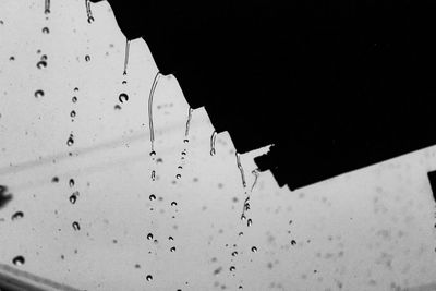 Close-up of wet window against black wall