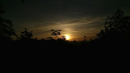 Silhouette trees against sky during sunset