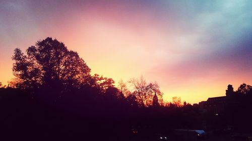 Silhouette of trees at sunset