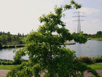 Calm lake with trees in background