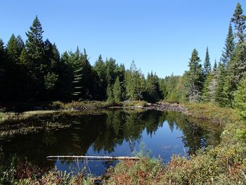Scenic view of lake against clear blue sky