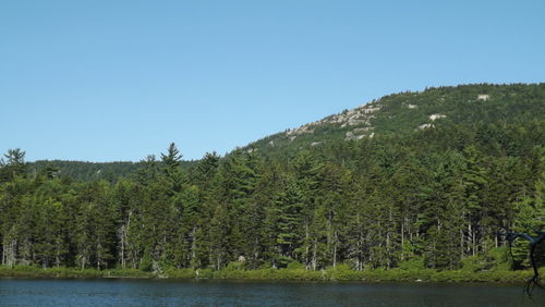 Scenic view of calm sea against clear sky