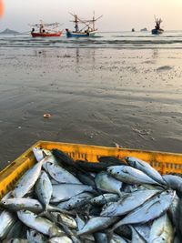 Fishing boats at beach against sky