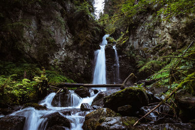 Scenic view of waterfall in forest