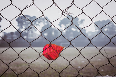 Close-up of chainlink fence against cloudy sky