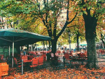 Chairs and table against trees during autumn