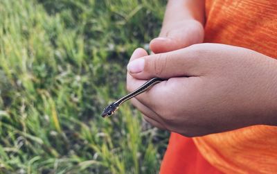 Close-up of hand holding plant over field