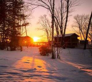 Silhouette bare trees on snow covered landscape during sunset