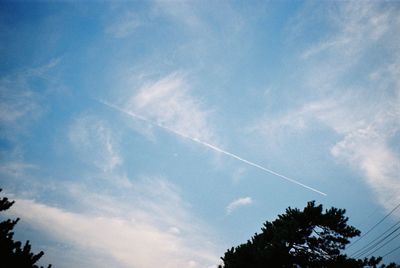 Low angle view of trees against cloudy sky