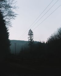 Plants growing on land against clear sky