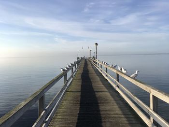 Pier over sea against sky and birds