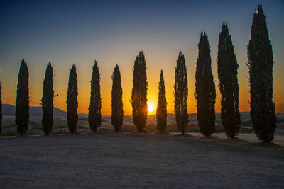 Panoramic shot of silhouette trees against sky during sunset