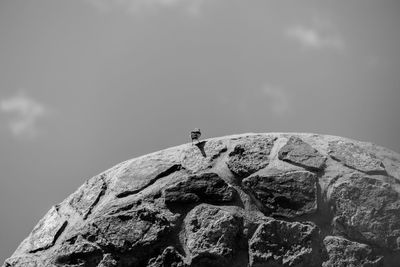 Close-up of a rock