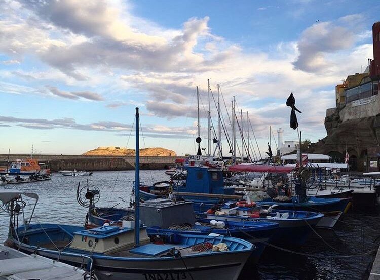 SAILBOATS MOORED IN HARBOR