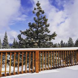 Trees on snow covered land against sky