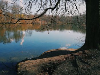 Reflection of trees in lake against sky