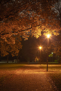 Illuminated street lights in park during autumn