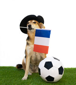 soccer ball