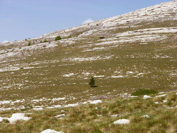 Scenic view of snowcapped mountain against sky