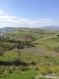 Scenic view of landscape against sky