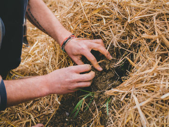 High angle view of man holding hay bales in farm