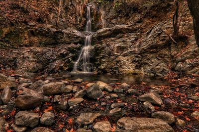 Scenic view of waterfall in forest