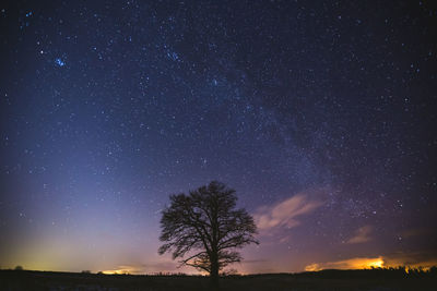 Low angle view of trees against sky at night
