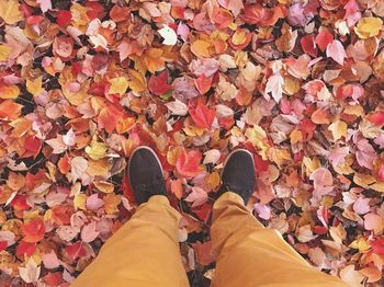 Low section of man standing on autumn leaves