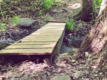 High angle view of empty bench in forest