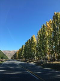 Road amidst trees against clear blue sky