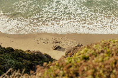 High angle view of beach