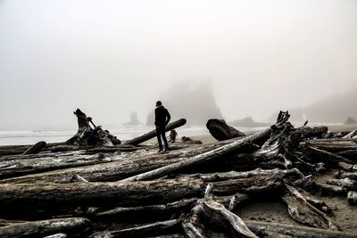 Silhouette man standing by logs at beach during foggy weather