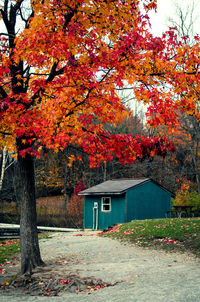 View of building and trees during autumn