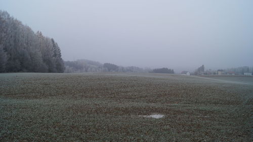 View of field against clear sky
