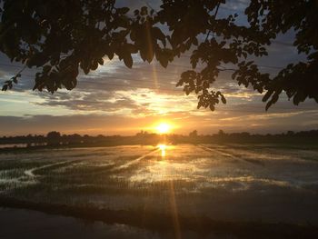 Scenic view of beach during sunset