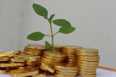 finance