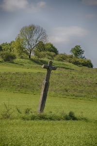 Tree on field against sky