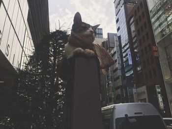 Low angle view of statue in city against sky