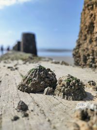 Surface level of rocks on shore