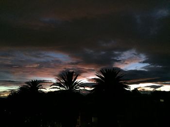 Low angle view of palm trees against cloudy sky