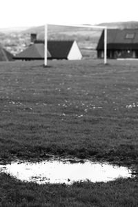 Close-up of grass on field against sky