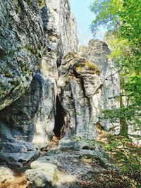 Low angle view of rock formation amidst trees in forest