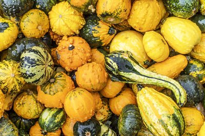 Full frame shot of pumpkins in market