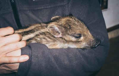 Midsection of man holding hands